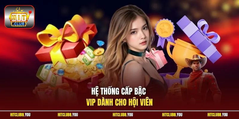 Hệ thống cấp bậc VIP dành cho hội viên